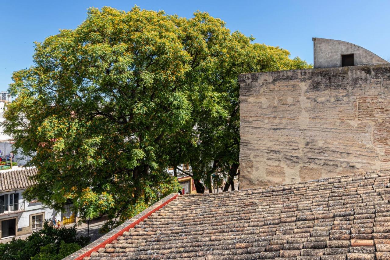 Casa Mnuela - Centro Jerez - Parking Opcional Leilighet Jerez de la Frontera Eksteriør bilde