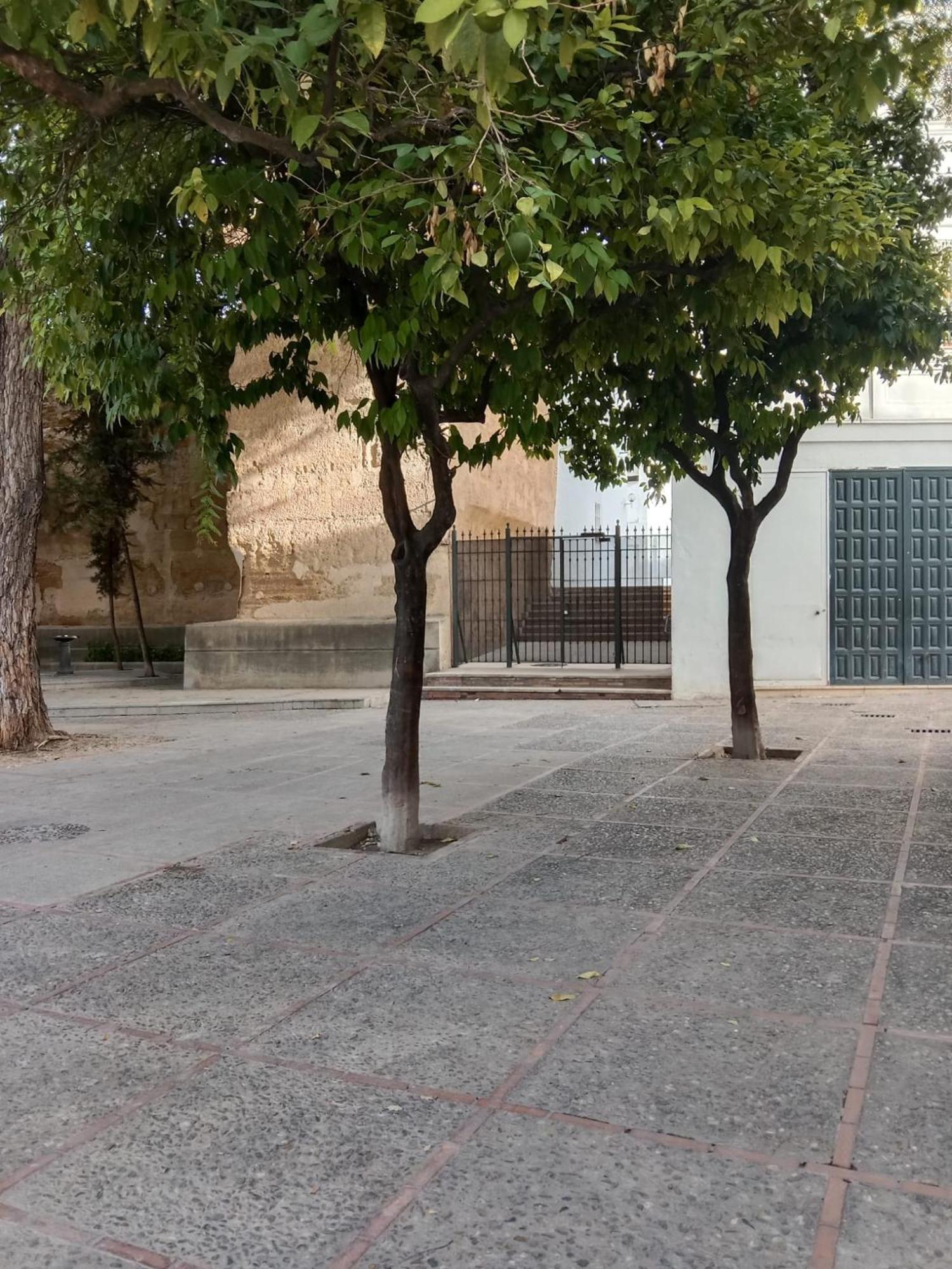 Casa Mnuela - Centro Jerez - Parking Opcional Leilighet Jerez de la Frontera Eksteriør bilde